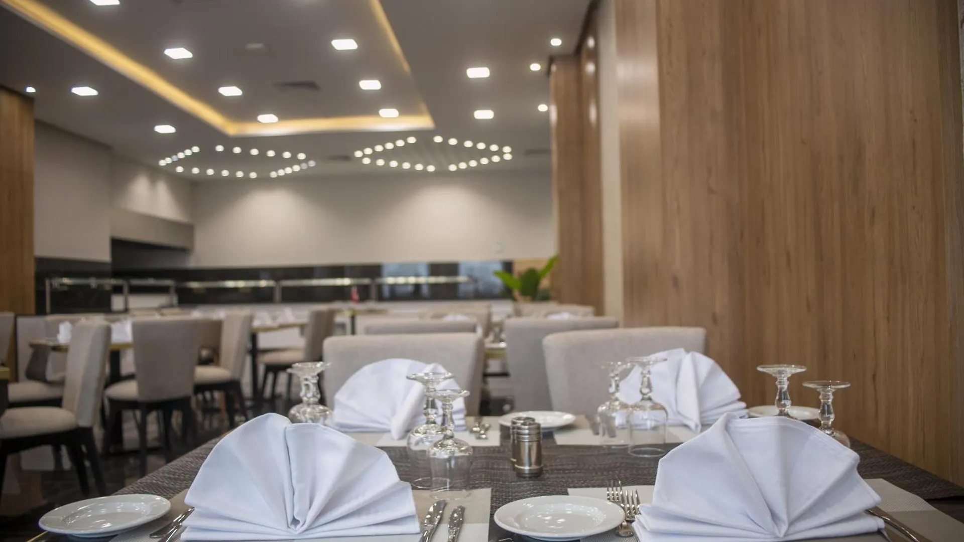 Kyriad Prestige City Center 突尼斯 酒店